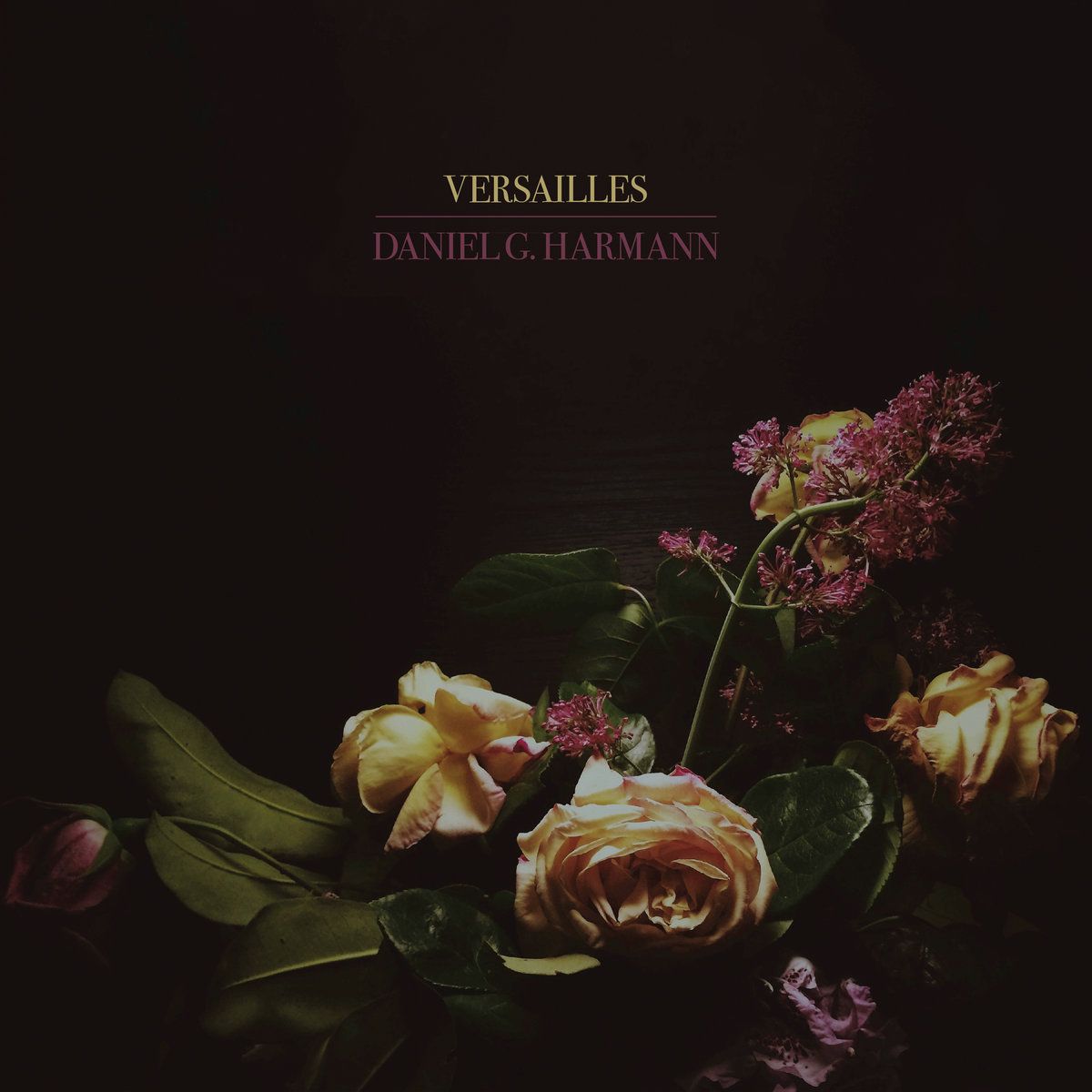 Cover of Versailles